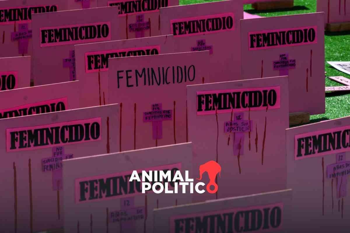 Asesinan a Daniela Ortega, estudiante de odontología en Xalapa; presunto agresor se suicidó, dicen autoridades de Veracruz