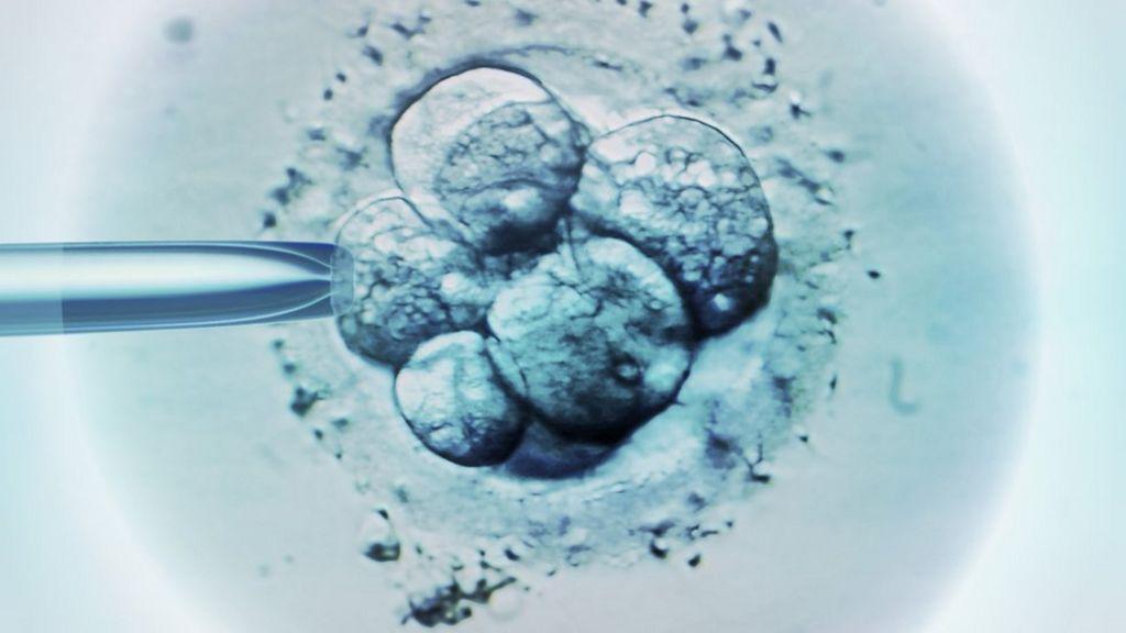 La decisión judicial en EE.UU. que considera que los embriones congelados son niños