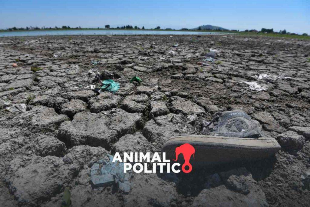 Sequía en 60% del territorio nacional, advierte Conagua; en 395 municipios es extrema