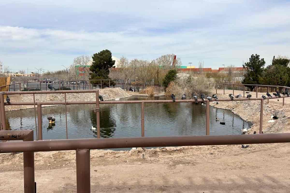 Parque Central de Ciudad Juárez: abandonado, con un lago contaminado y con pendientes por resolver