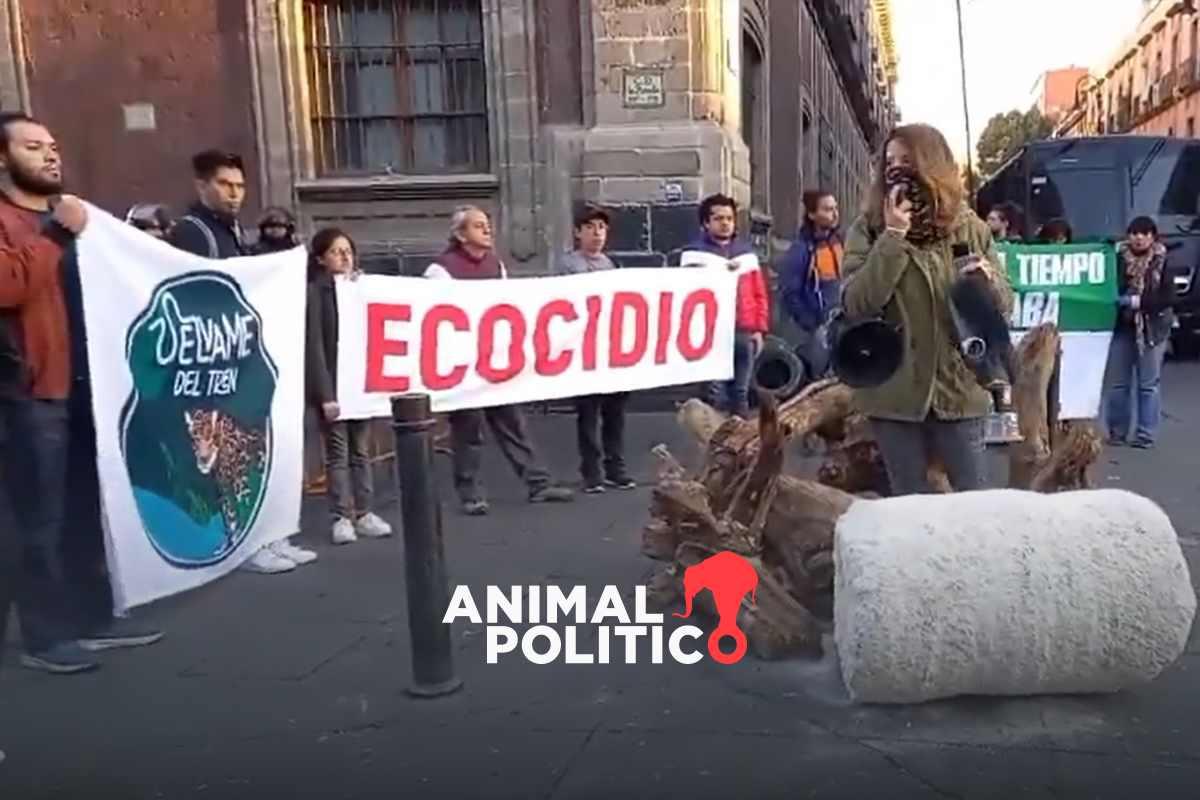 Activistas protestan en Palacio Nacional contra el tramo 5 del Tren Maya; acusan destrucción de cenotes y cuevas