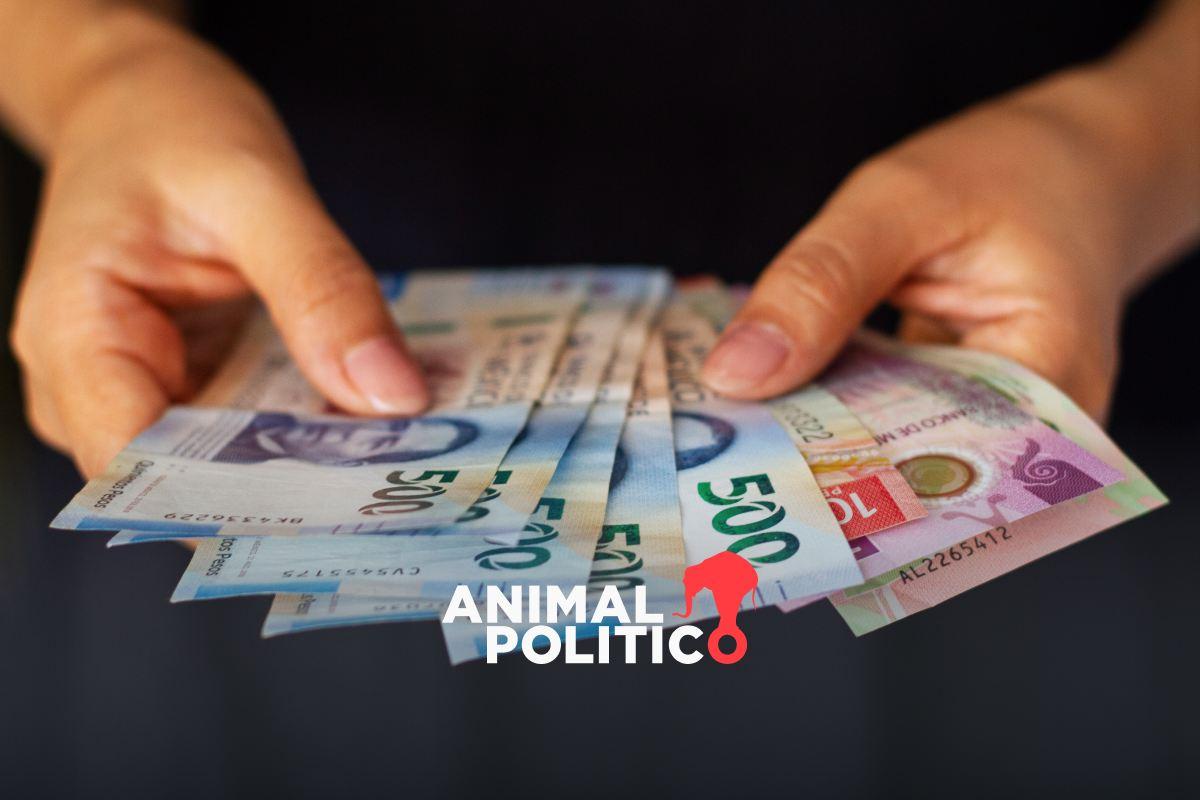 PRI propone dar apoyos de hasta 120 mil pesos a jóvenes