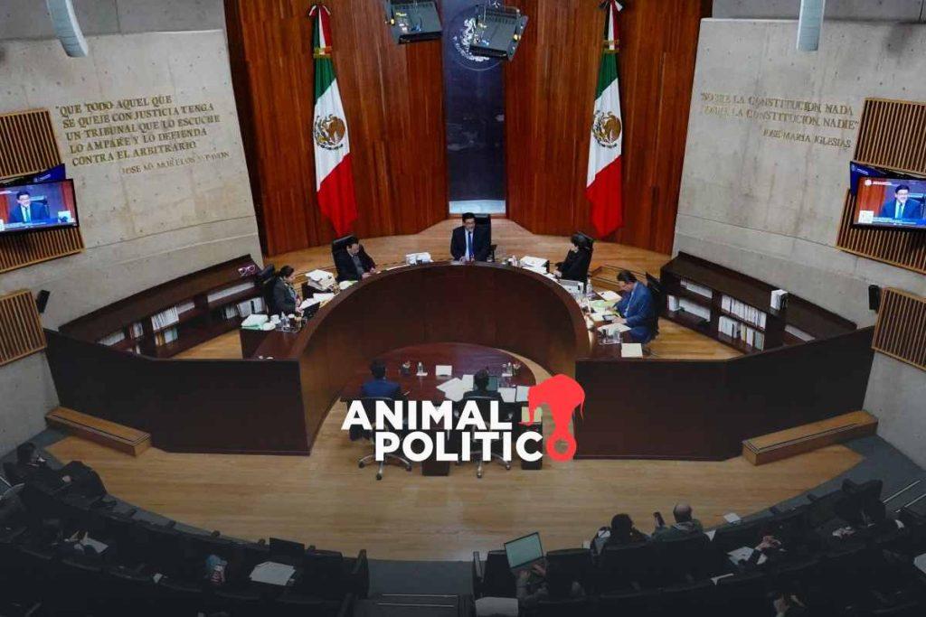 Tribunal Electoral ordena a la CNDH retirar informe sobre violencia política; comisión “no acepta que se le pretenda amordazar”