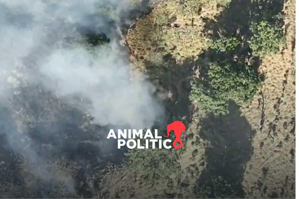 Grupos del crimen organizado provocan incendios con drones en Tecpan y Petatlán, Guerrero