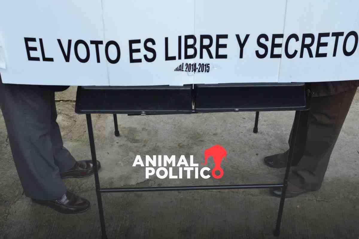 Alcaldes y diputados buscan la reelección o imponen a familiares en candidaturas locales en Guerrero