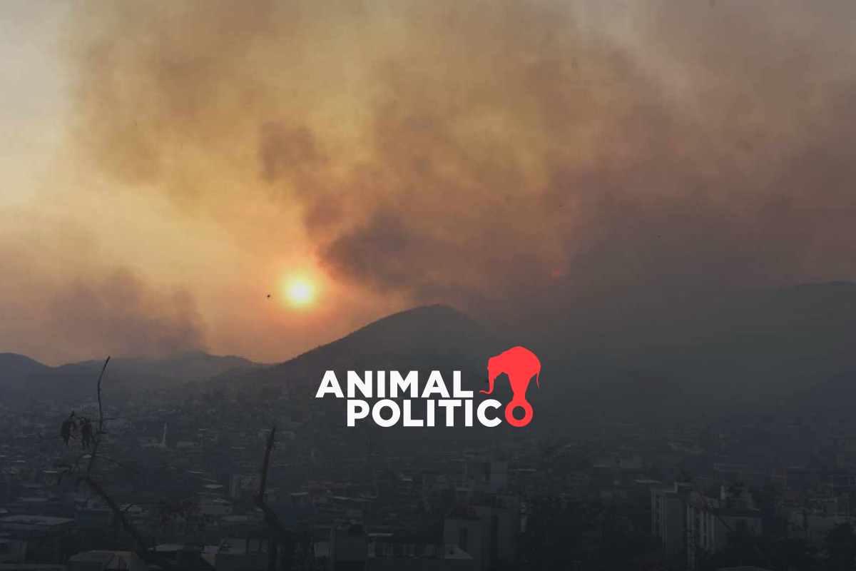 Conafor combate 100 incendios forestales activos en 18 entidades del país; afectan a más de 59 mil hectáreas