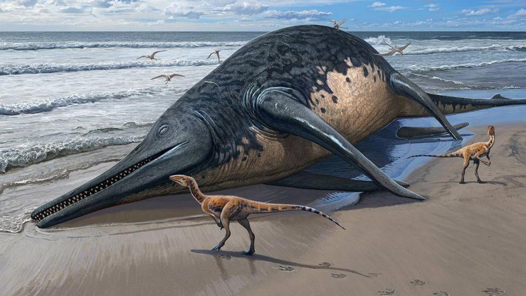 Identifican a reptil marino prehistórico del tamaño de dos autobuses tras hallazgo de fósil en Reino Unido