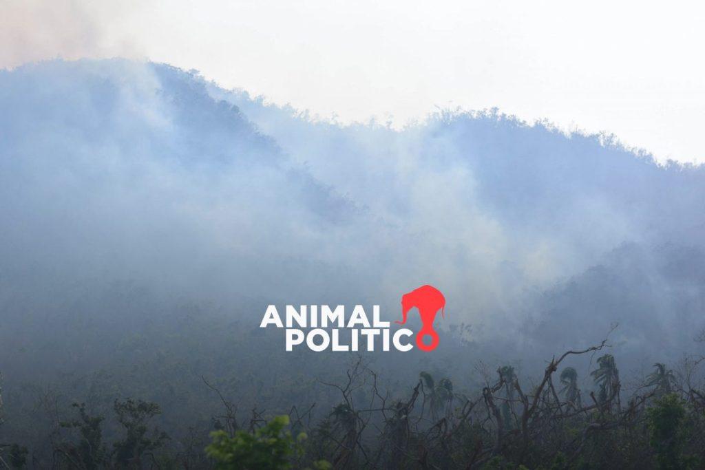 Por incendios forestales, suspenden clases en Acapulco y Chilpancingo, Guerrero