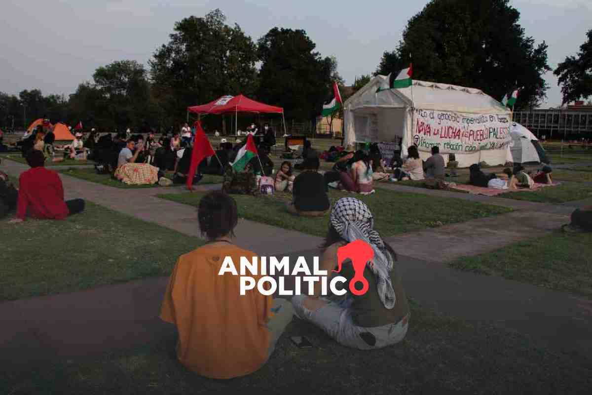 "No podemos ignorar el genocidio": Voces se solidarizan con Palestina en acampada de la UNAM