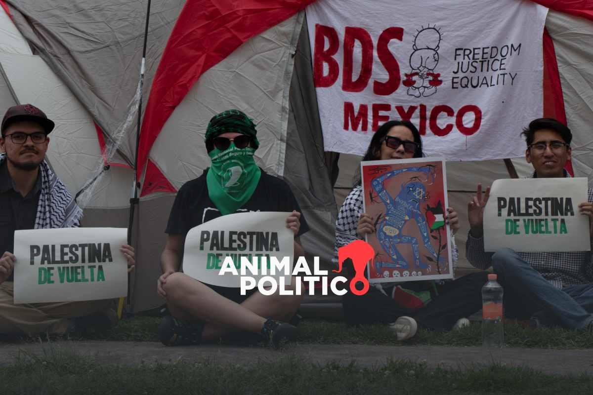 Estudiantes de la UNAM instalan campamento frente a Rectoría en solidaridad con Palestina
