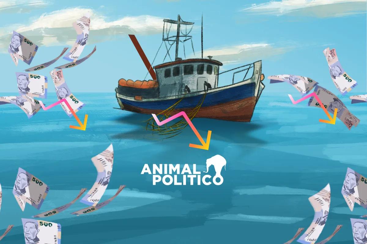 “¿Qué haces con 7 mil 500 pesos al año?”: el programa Bienpesca de AMLO choca con la realidad de las comunidades pesqueras