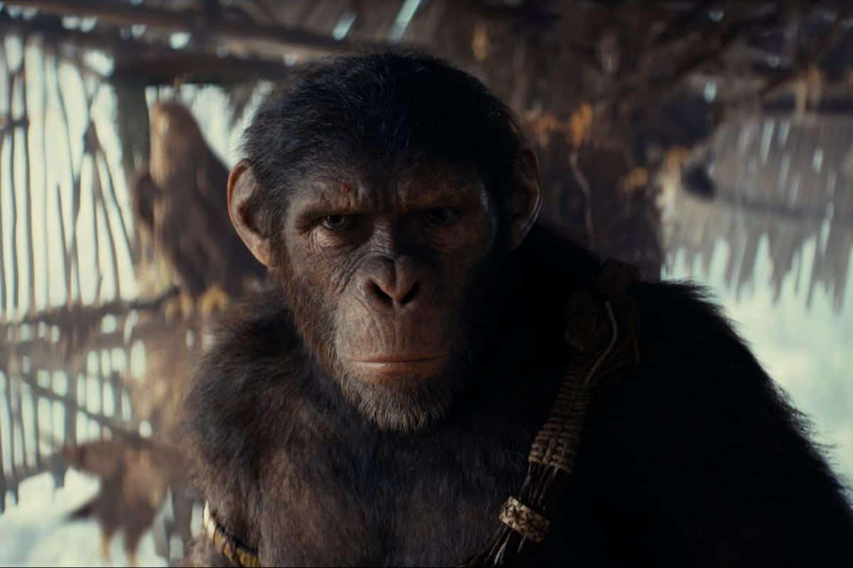 Cómo ver ‘El planeta de los simios’ en orden cronológico (y en qué plataforma)