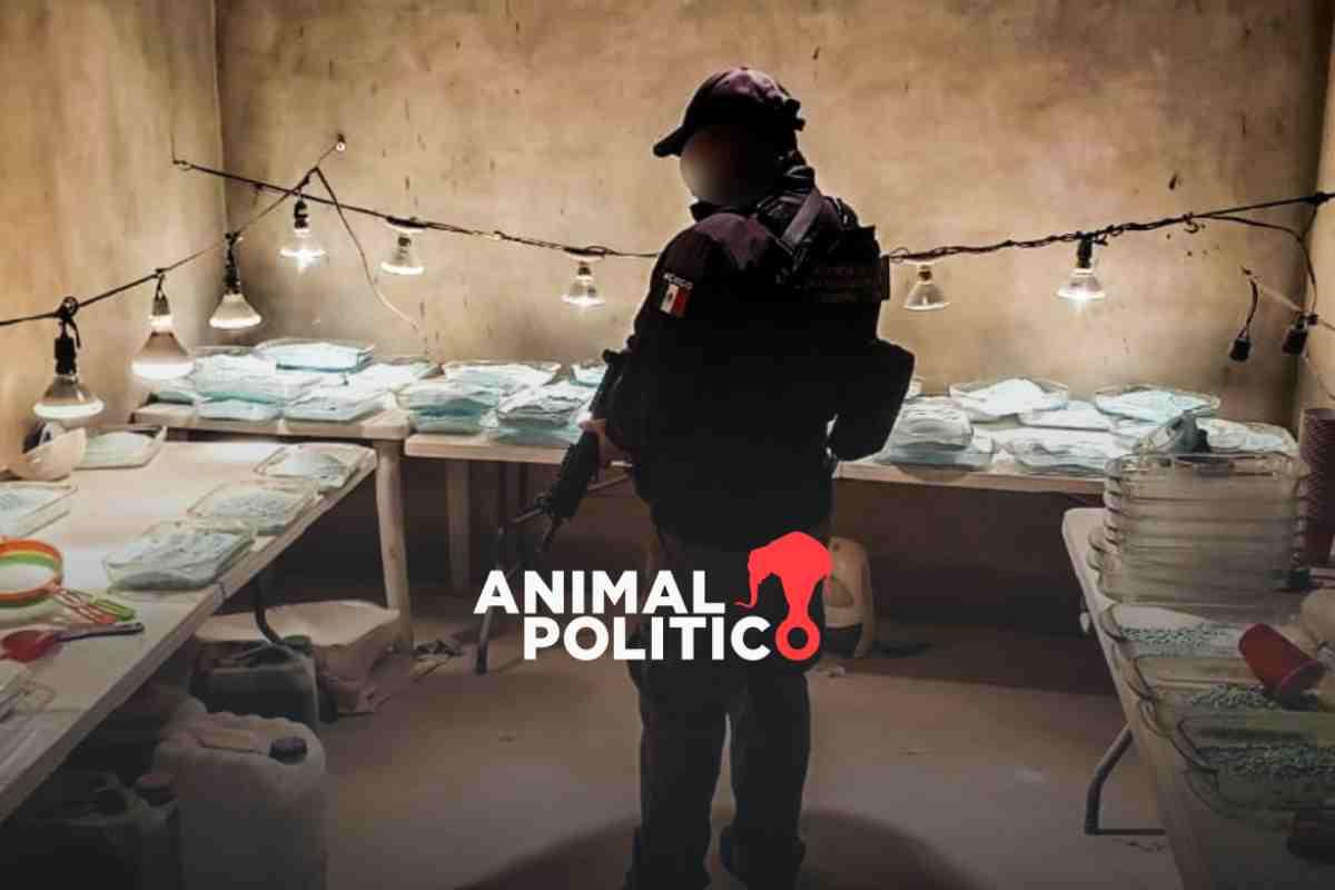 Cárteles de Sinaloa y Jalisco Nueva Generación operan en 50 estados de EU: ”desataron la peor crisis de drogas”, dice la DEA