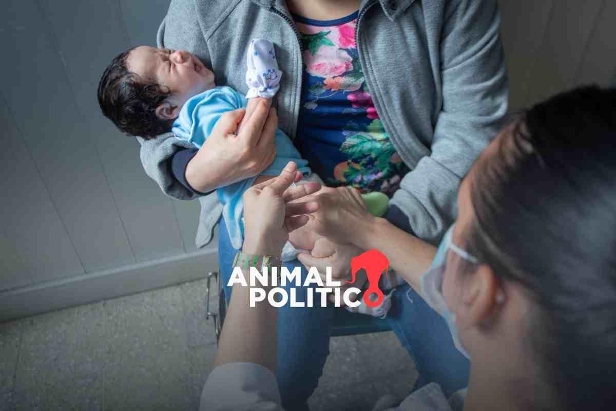 Cae la vacunación en México; pasa de 96% niños vacunados a 83% en el penúltimo año de gobierno de AMLO