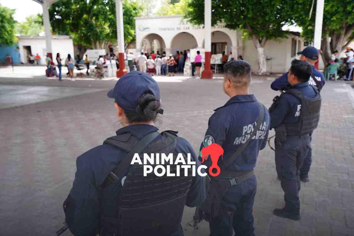 Elecciones 2024 terminan con otro candidato asesinado, amenazas y quema de urnas en algunos estados