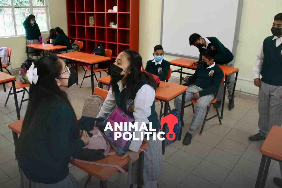 México queda por debajo del promedio de los países de la OCDE en pensamiento creativo de prueba PISA