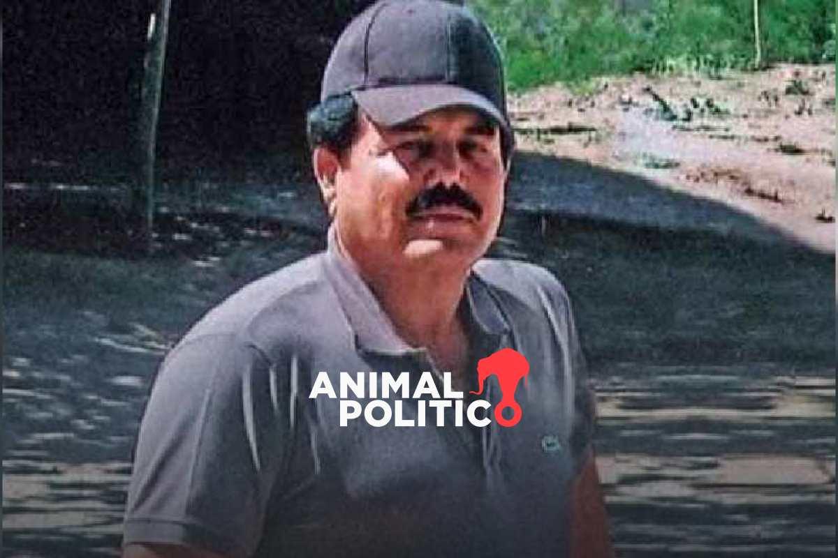 “El Mayo” Zambada fue engañado para volar a Texas y ser capturado, según The Wall Street Journal