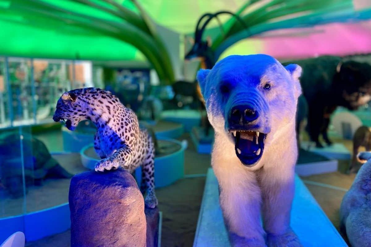 10 museos para ir con niños en CDMX y divertirse en familia