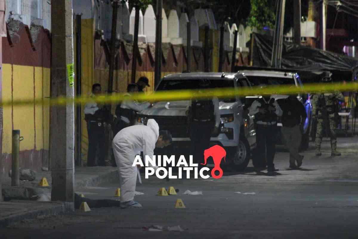 Con más de 500 incidentes, el proceso electoral 2023-2024 fue el más violento