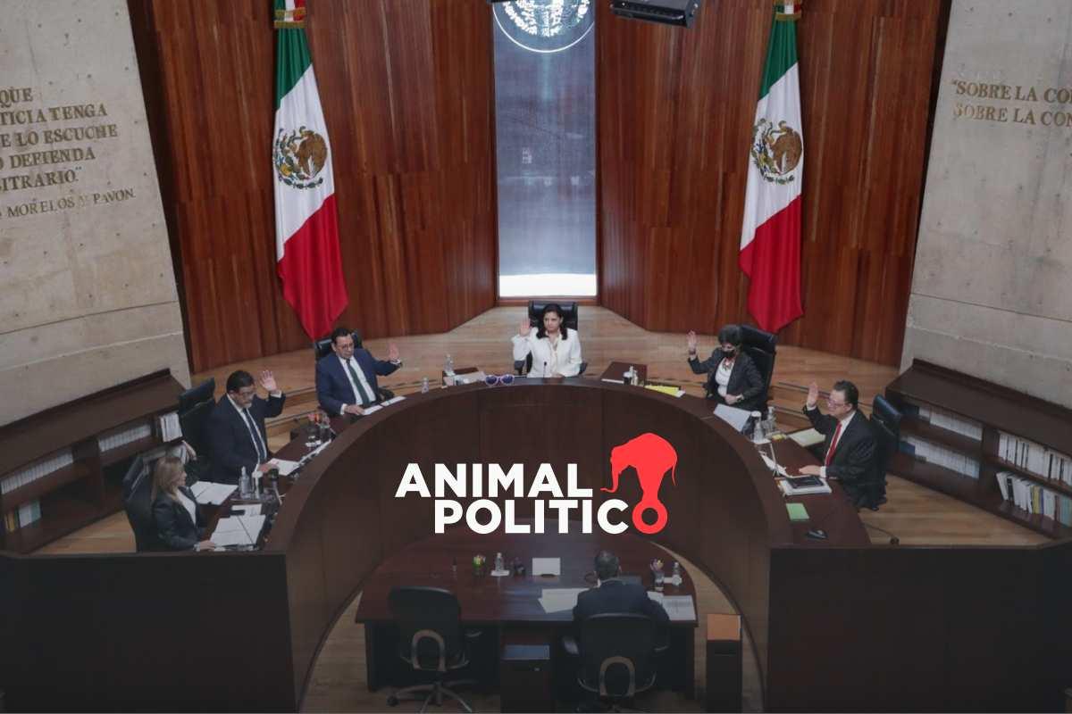 Tribunal Electoral confirma nulidad de la elección en Irimbo, Michoacán; habrá elecciones extraordinarias