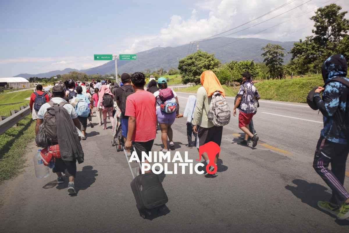 Organizaciones llaman a impulsar una nueva política migratoria y de asilo; violaciones a derechos humanos son la regla, reclaman