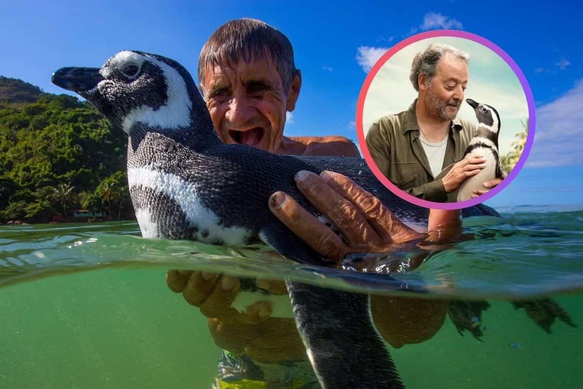 La increíble historia real de ‘Mi amigo el pingüino’, la película con Jean Reno y Adriana Barraza