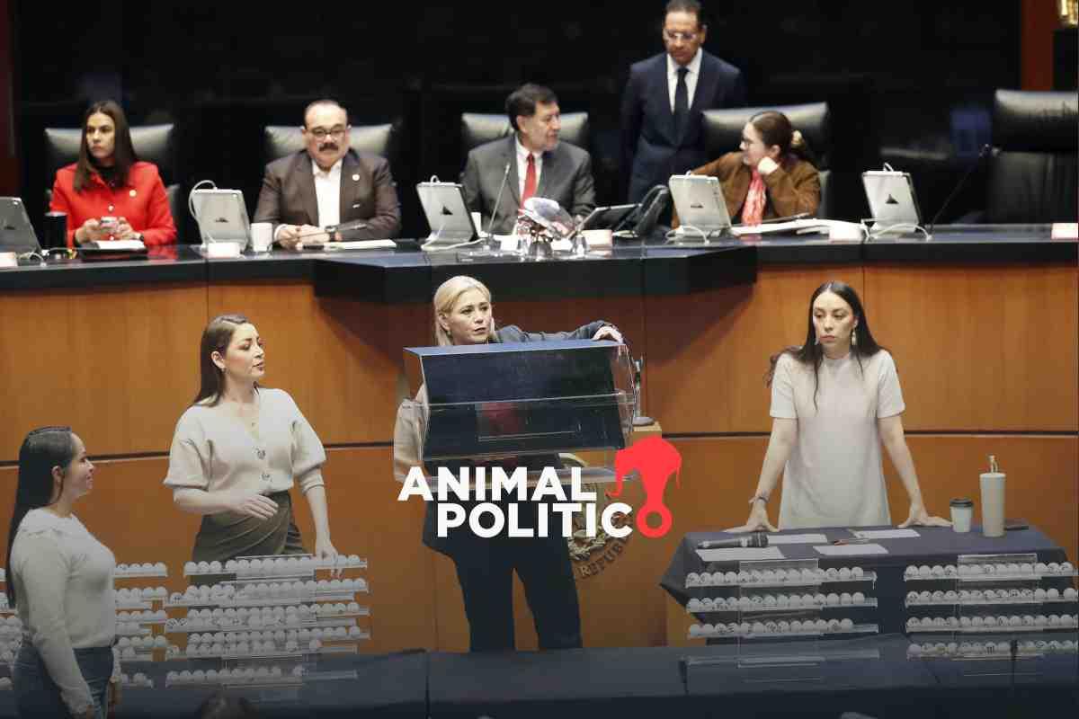 “En tómbola estaba el proyecto de vida de muchos”: jueces se despiden tras sorteo de plazas para elección judicial