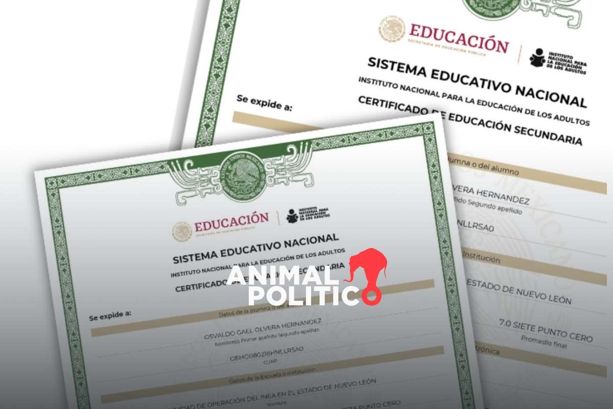 Así puedes obtener un duplicado de tu certificado de primaria o secundaria de la SEP