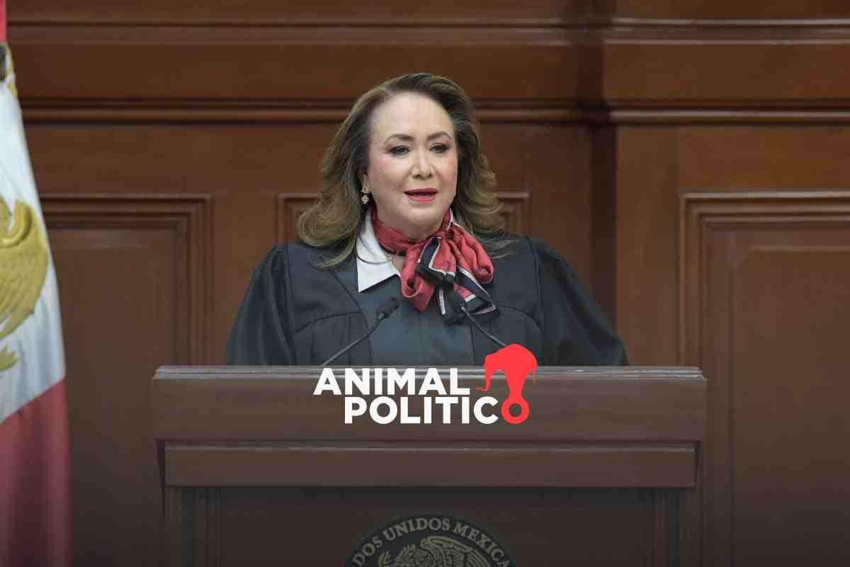 Personajes cercanos a ministra Esquivel operaron fallo a su favor en el caso de presunto plagio de su tesis