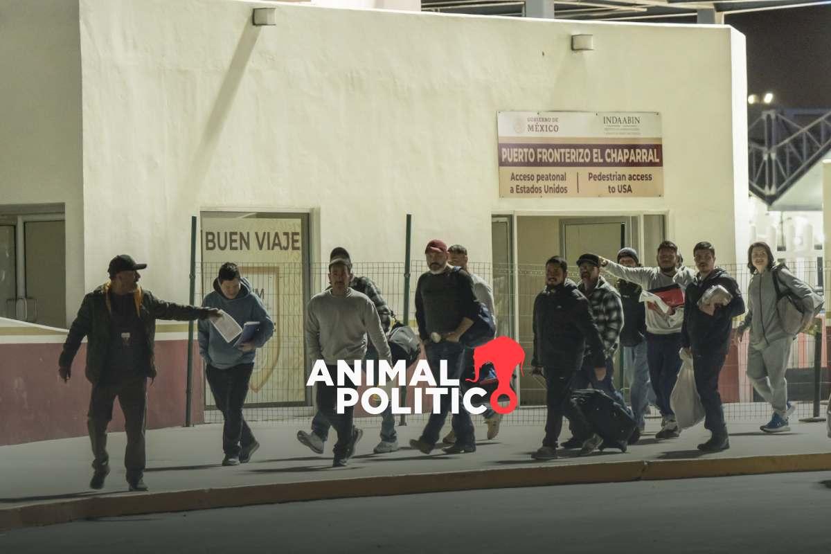 México recibió más de 4 mil migrantes tras la llegada de Trump; “no ha habido incremento sustantivo”, dice Sheinbaum