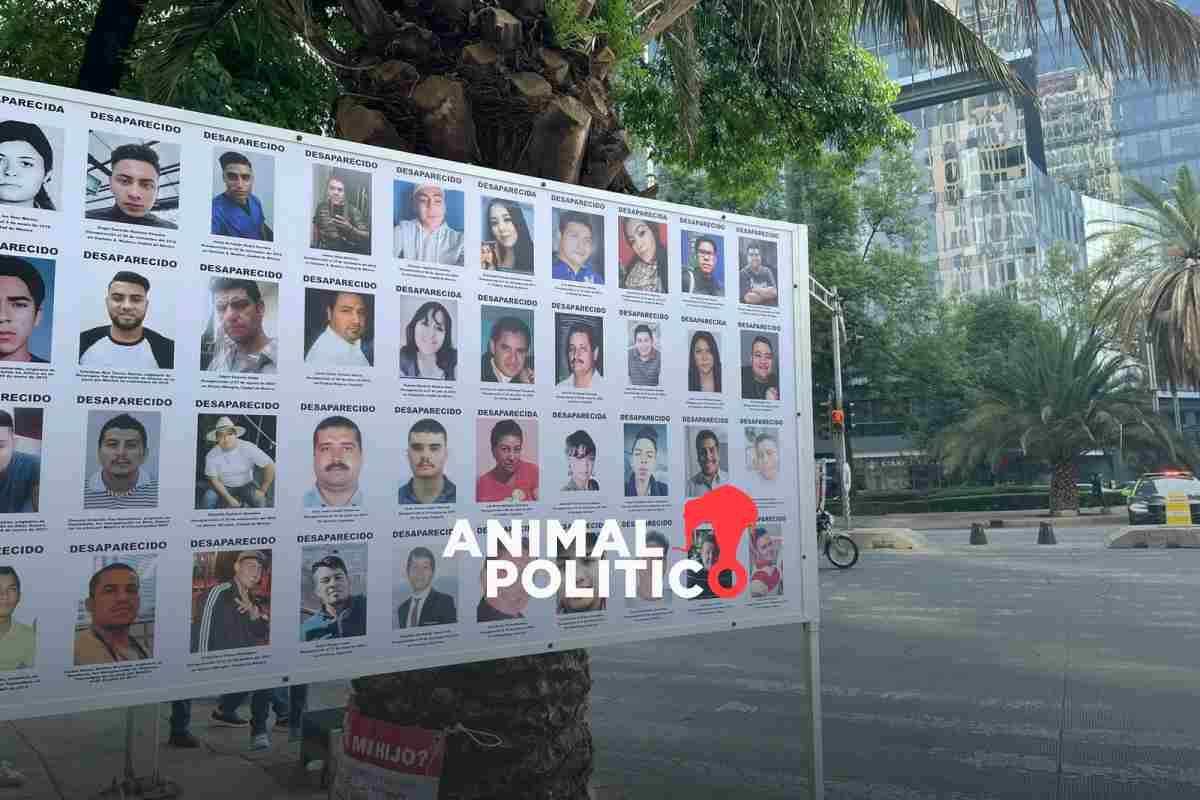 “Los seguimos buscando”: familiares de desaparecidos planean tapizar con fichas de búsqueda de Reforma hasta Palacio Nacional