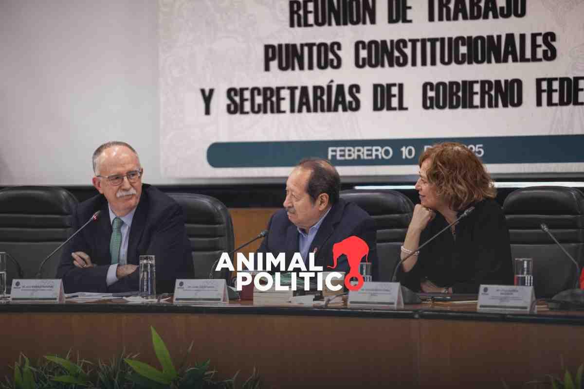 Sheinbaum modificará su propuesta de reforma sobre prohibir cultivos con maíz transgénico