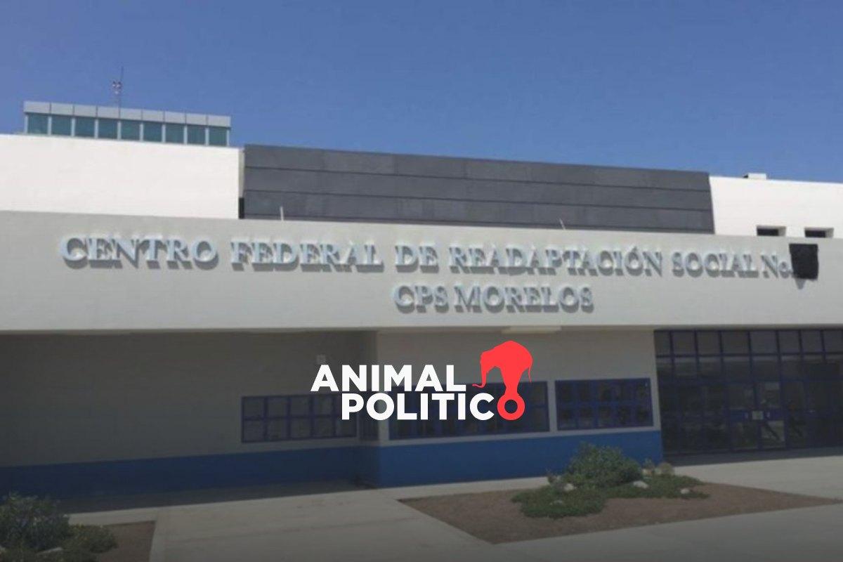 Juez ordena elaborar política de salud mental para atender a mujeres recluidas en el Cefereso 16 de Morelos