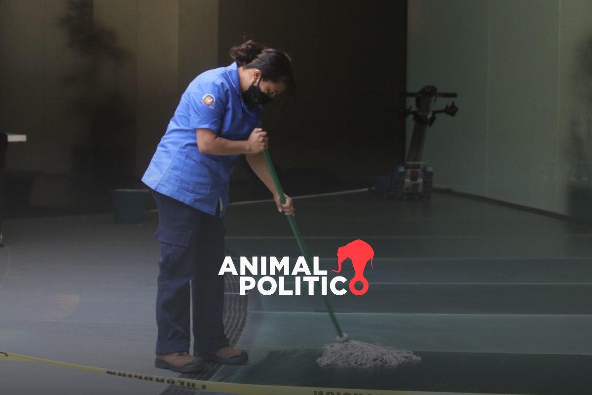 El Senado despide a 13 trabajadoras de limpieza a las que había prometido un contrato directo