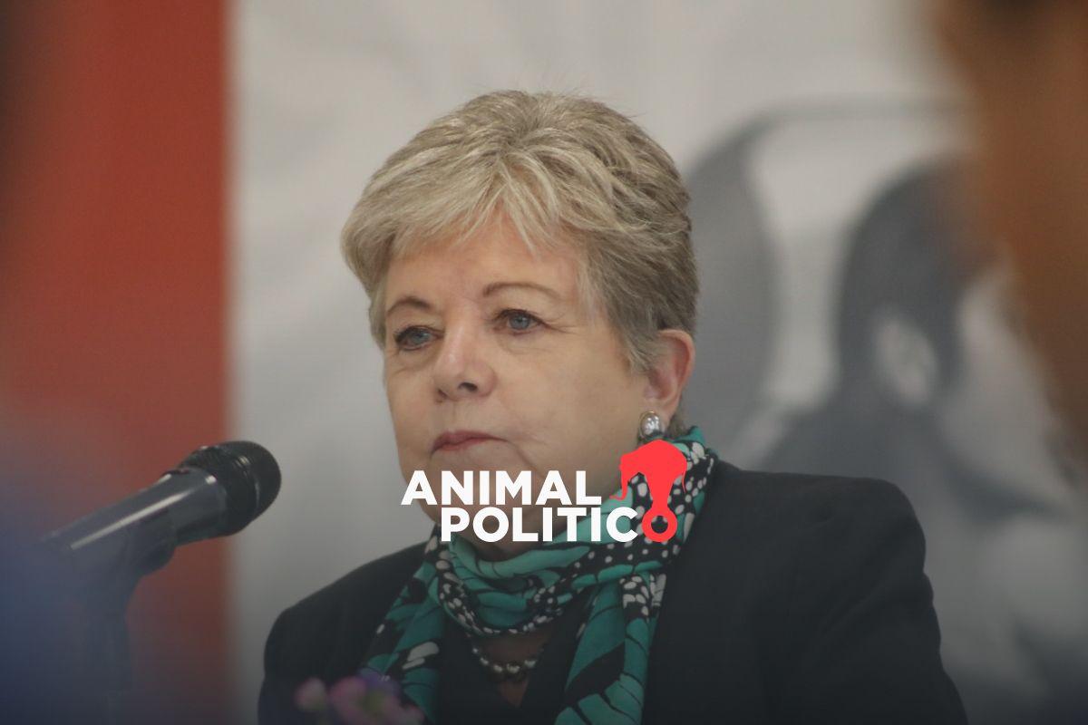 Semarnat reconoce daños por construcción del Tren Maya; plantean proyecto de restauración integral