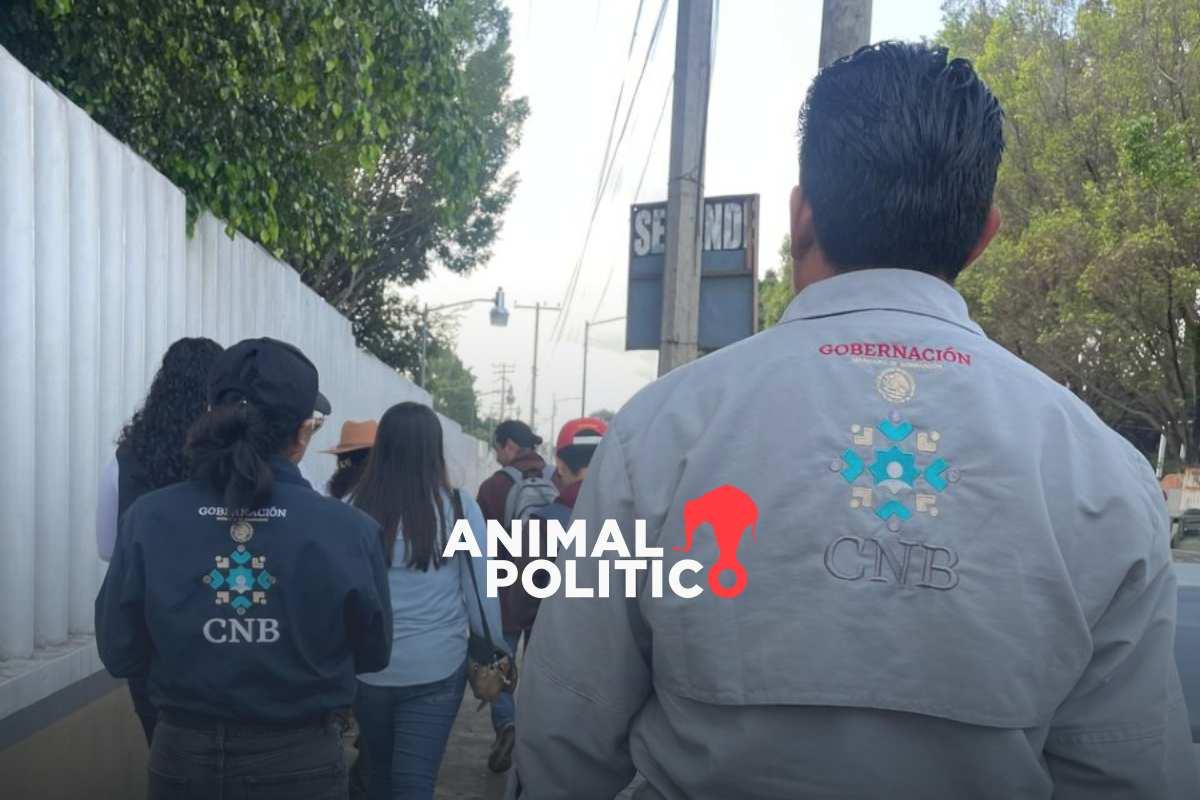 La mitad de directores de área de la Comisión Nacional de Búsqueda no tienen experiencia en desaparición de personas