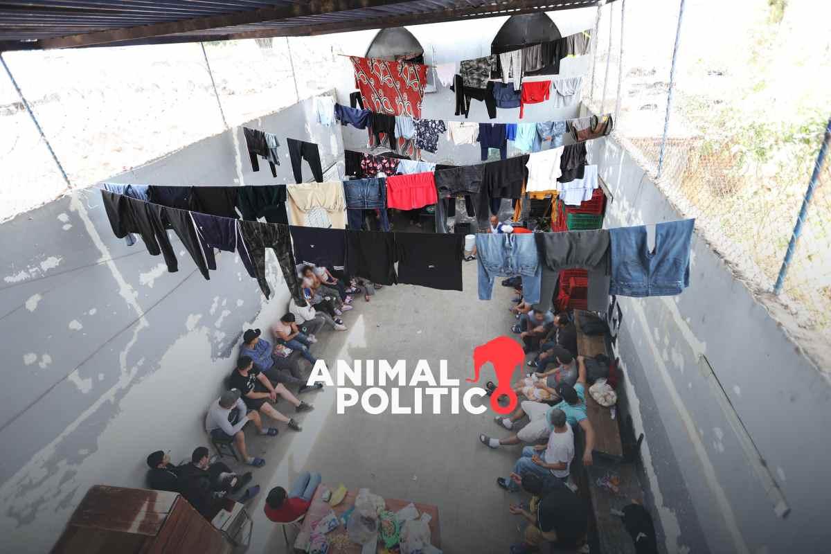 Localizan a 32 personas en un anexo irregular en Zapotlanejo, Jalisco; seis son menores de edad