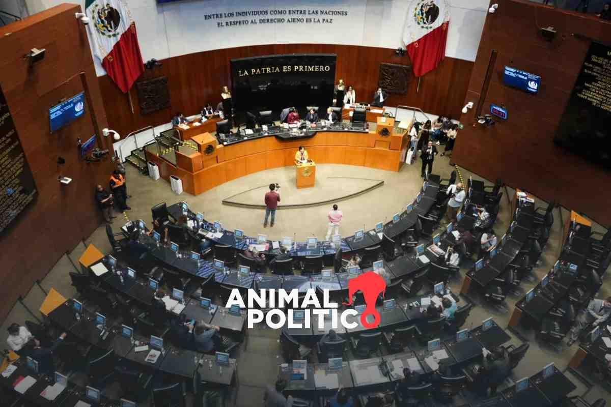 Morena no alcanza mayoría calificada: Senado rechaza 56 candidaturas a magistrados electorales en estados