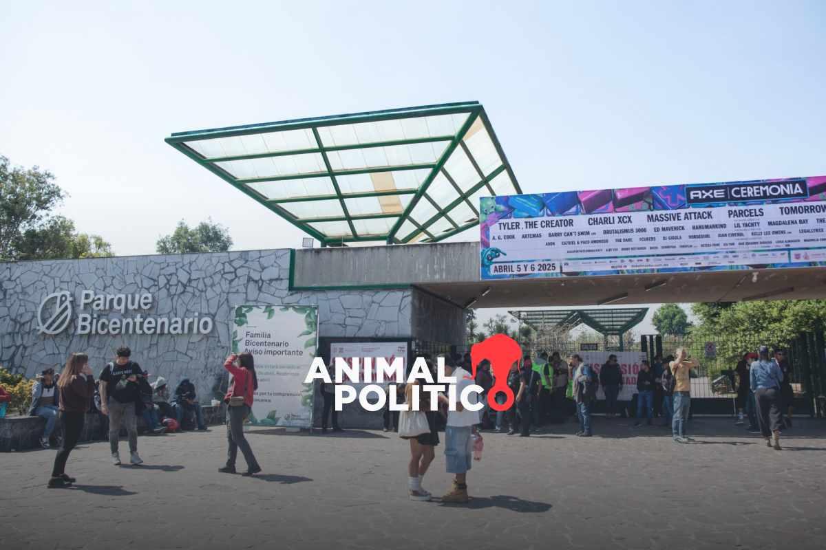 Sheinbaum ordena revisar concesión del Parque Bicentenario tras muerte de fotógrafos Berenice y Miguel