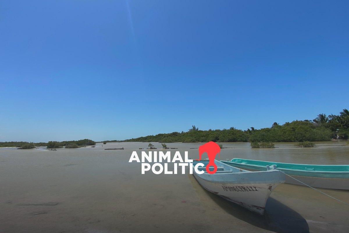 Náufragos en Yucatán: cuando la pesca se vuelve cuestión de vida o muerte