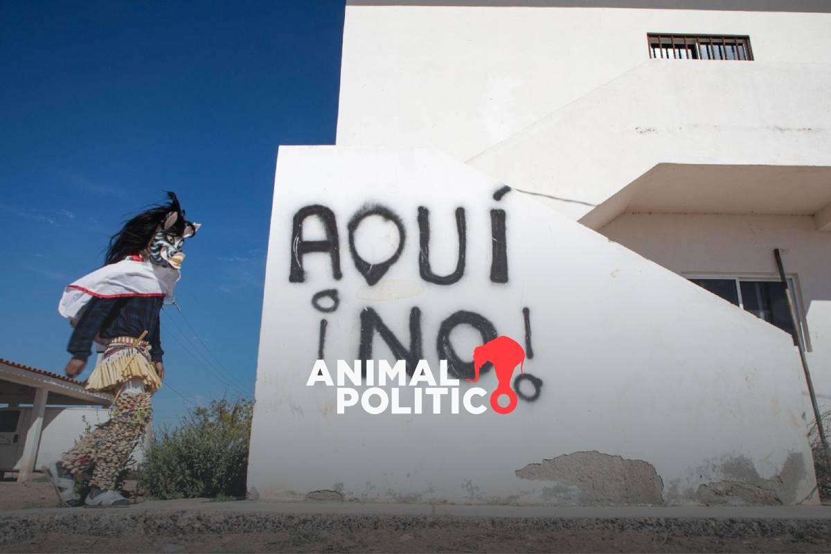 Pueblos Mayo-Yoreme buscan que banco alemán retire financiamiento a Planta de Amoniaco en Topolobampo, Sinaloa