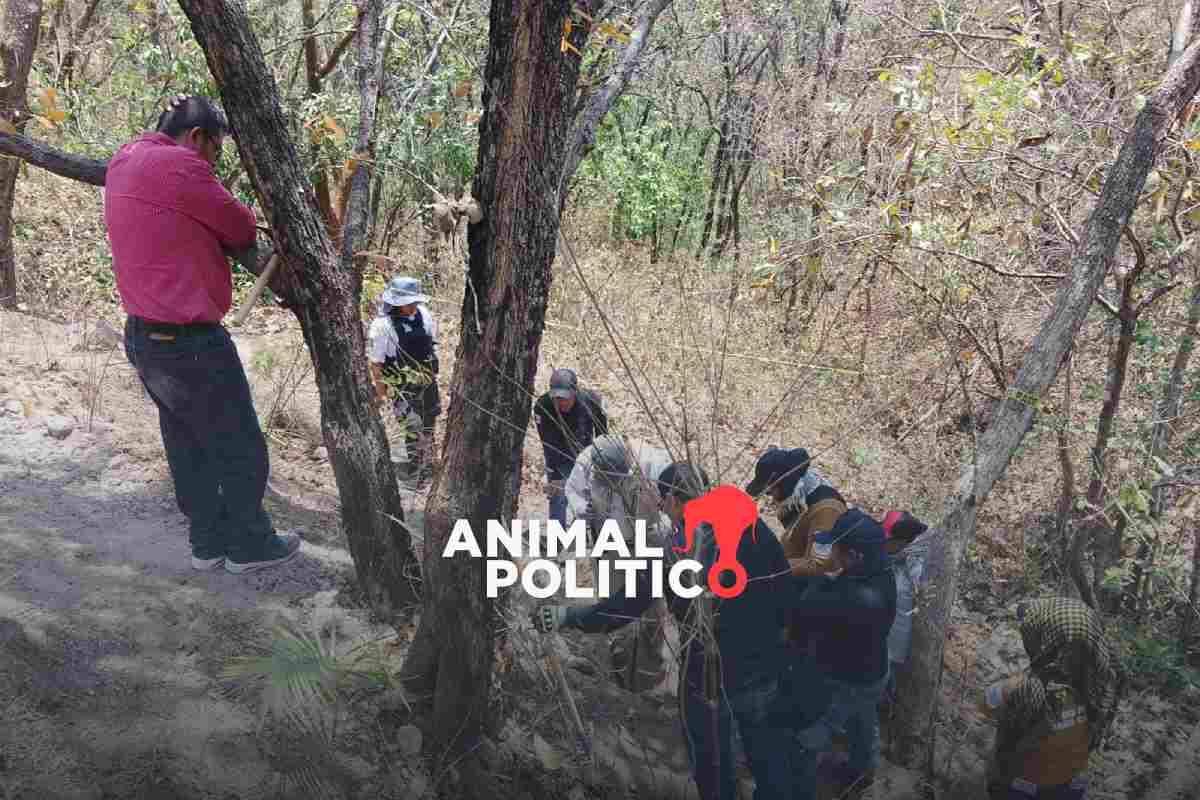 Colectivo exige a la Fiscalía Guerrero entregar el cuerpo de José Vázquez Culebrina, a quien encontraron desde 2015