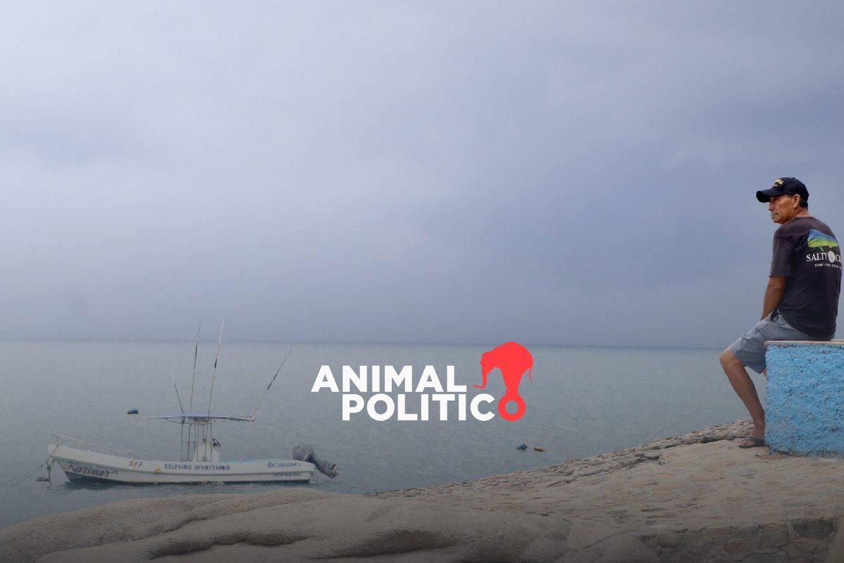 Tormenta tropical Erick avanza hacia las costas de Guerrero y Oaxaca; habilitan albergues por intensas lluvias