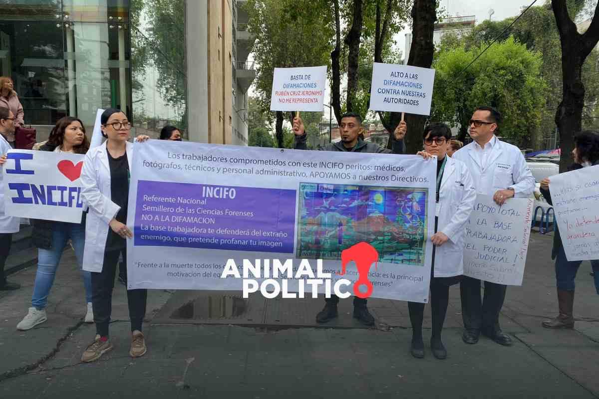 Trabajadores del INCIFO chocan en protestas a favor y en contra por las condiciones del instituto