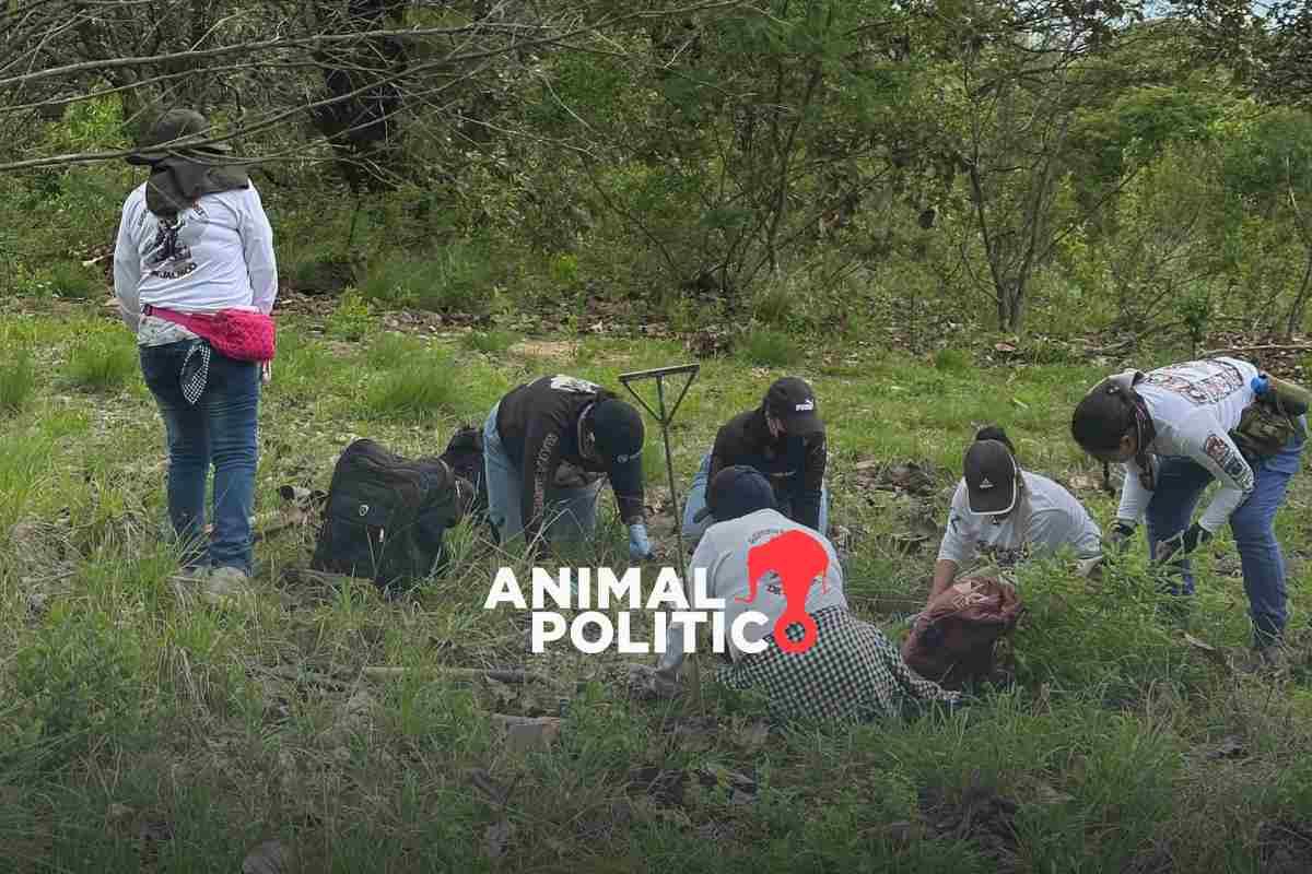 Guerreros Buscadores de Jalisco reporta hallazgo de “crematorio clandestino” en faldas del Cerro Cuauhtépetl