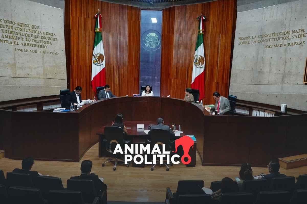 Tribunal Electoral revoca decisión del INE: deberá entregar constancia de ganadores a jueces con “malas calificaciones”