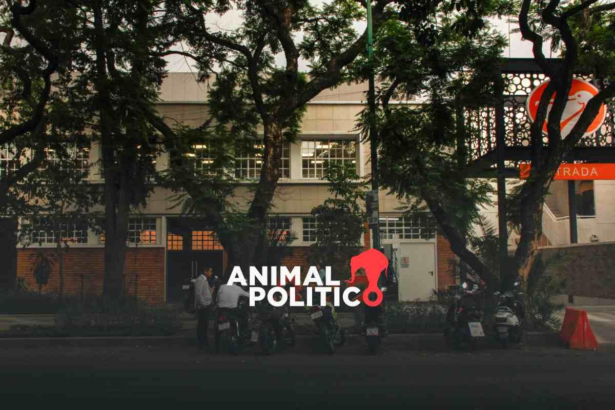 Vecinas denuncian tala de 100 árboles en Benito Juárez para construir centro comercial; frenan obras