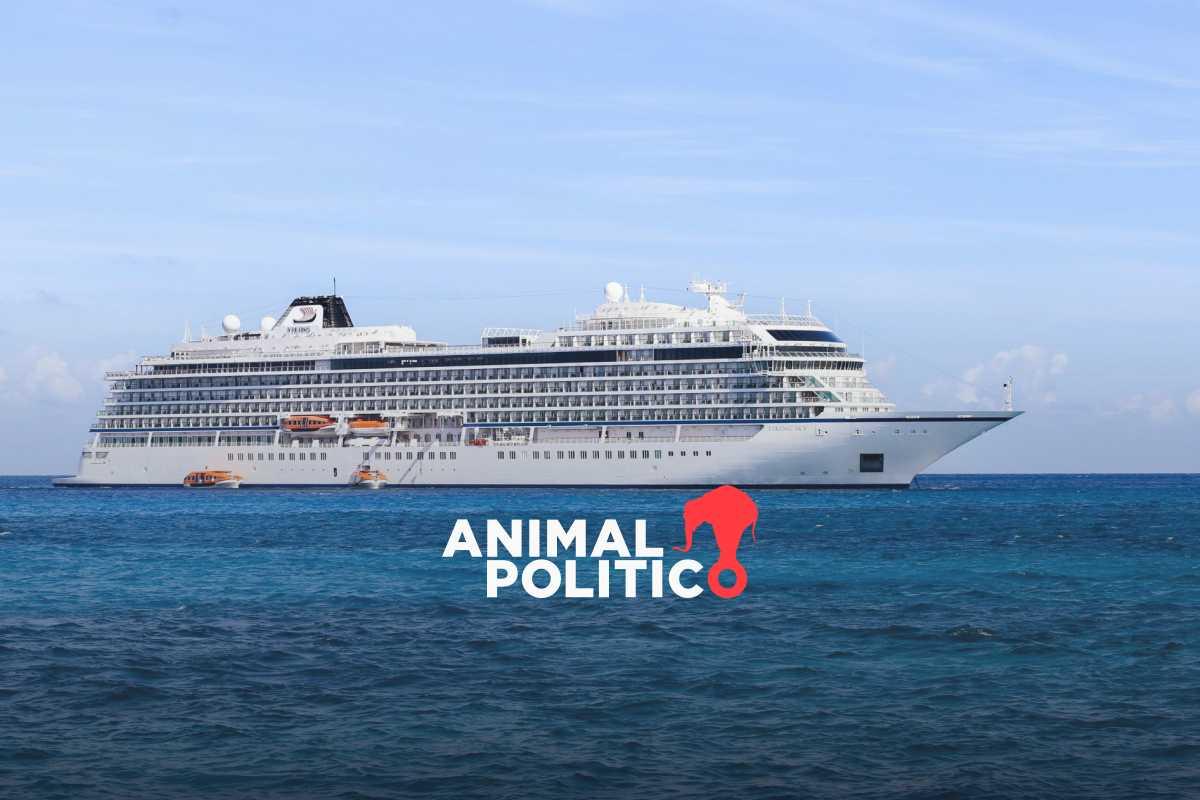 Suspenden temporalmente la construcción del cuarto muelle de cruceros en Cozumel, mientras Semarnat revisa los permisos