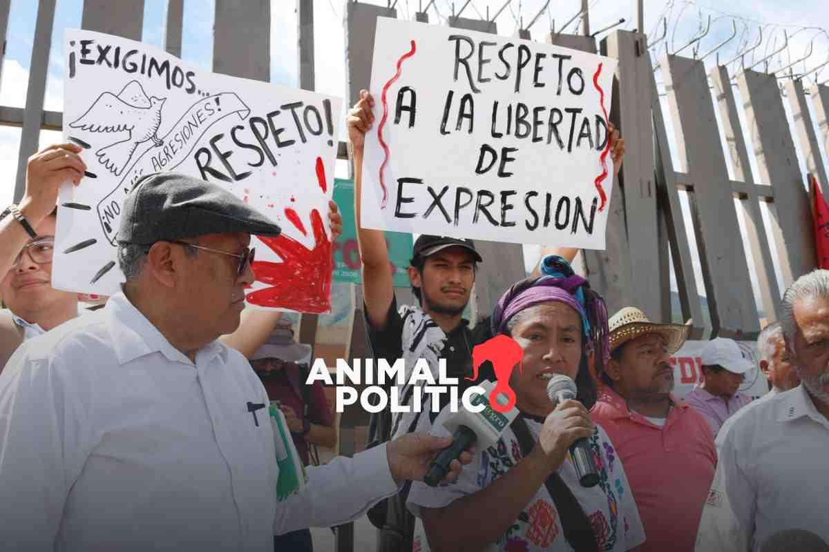 Denuncian a un periodista cada tres semanas en México; litigios buscan restringir libertad de expresión, advierte Artículo 19