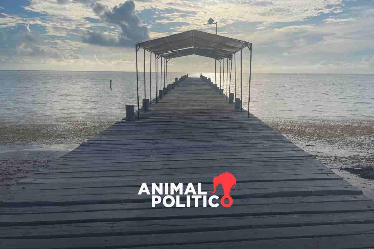 La expansión turística del Ejército en áreas protegidas: el caso de la Reserva de la Biosfera de Sian Ka’an